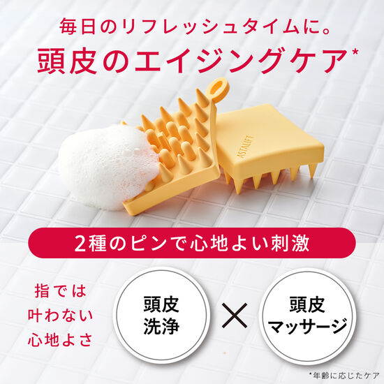 毎日のリフレッシュタイムに。頭皮のエイジングケア。2種のピンで心地よい刺激。