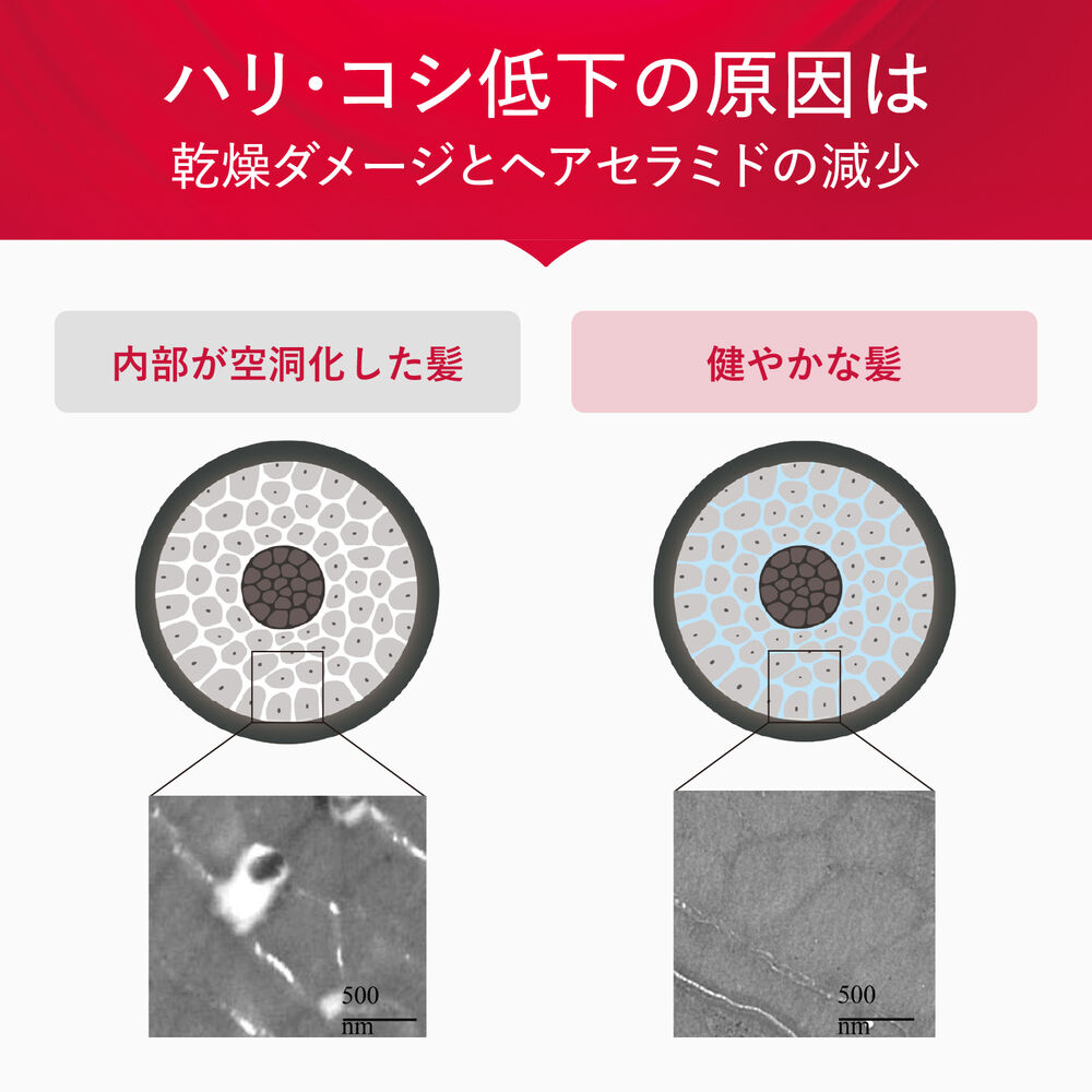 スカルプフォーカス コンディショナー | FUJIFILM ビューティー&ヘルス