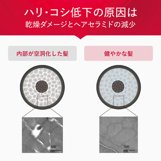 髪のハリ・コシ低下の原因は、乾燥ダメージとヘアセラミドの減少