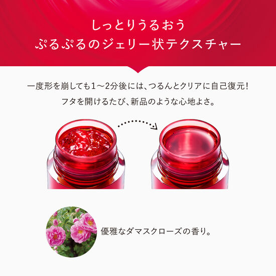 ジェリー アクアリスタ 40g