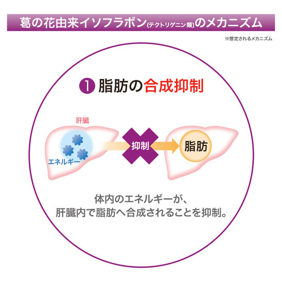 メタバリア葛の花イソフラボンEX