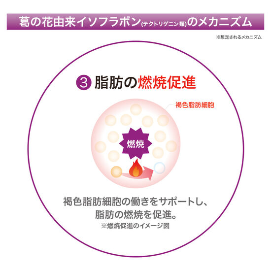 メタバリア葛の花イソフラボンEX