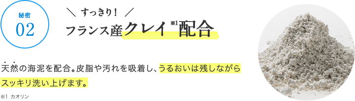 【秘密02】\ すっきり! /フランス産クレイ※1配合 天然の海泥を配合。皮脂や汚れを吸着し、うるおいは残しながらスッキリ洗い上げます。 ※1 カオリン