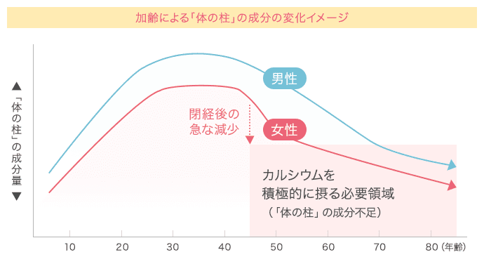 加齢による「体の柱」の成分の変化イメージ