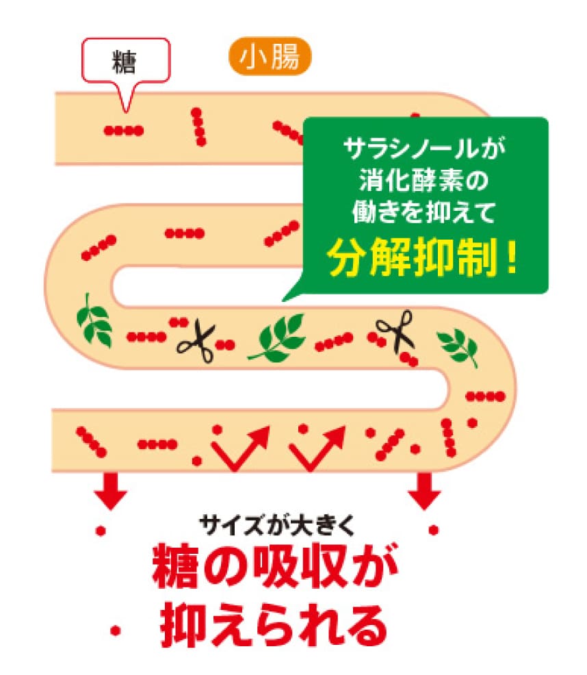 糖の吸収が抑えられる