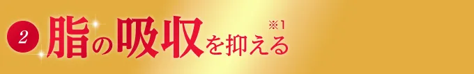 脂の吸収を抑える