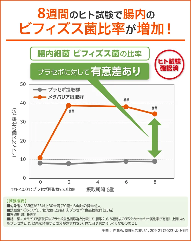 腸内のビフィズス菌が増加