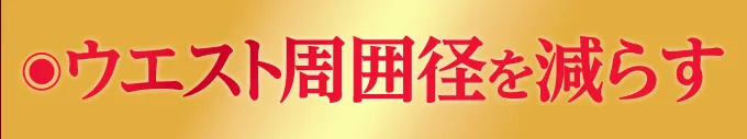 ウエスト周囲径を減らす