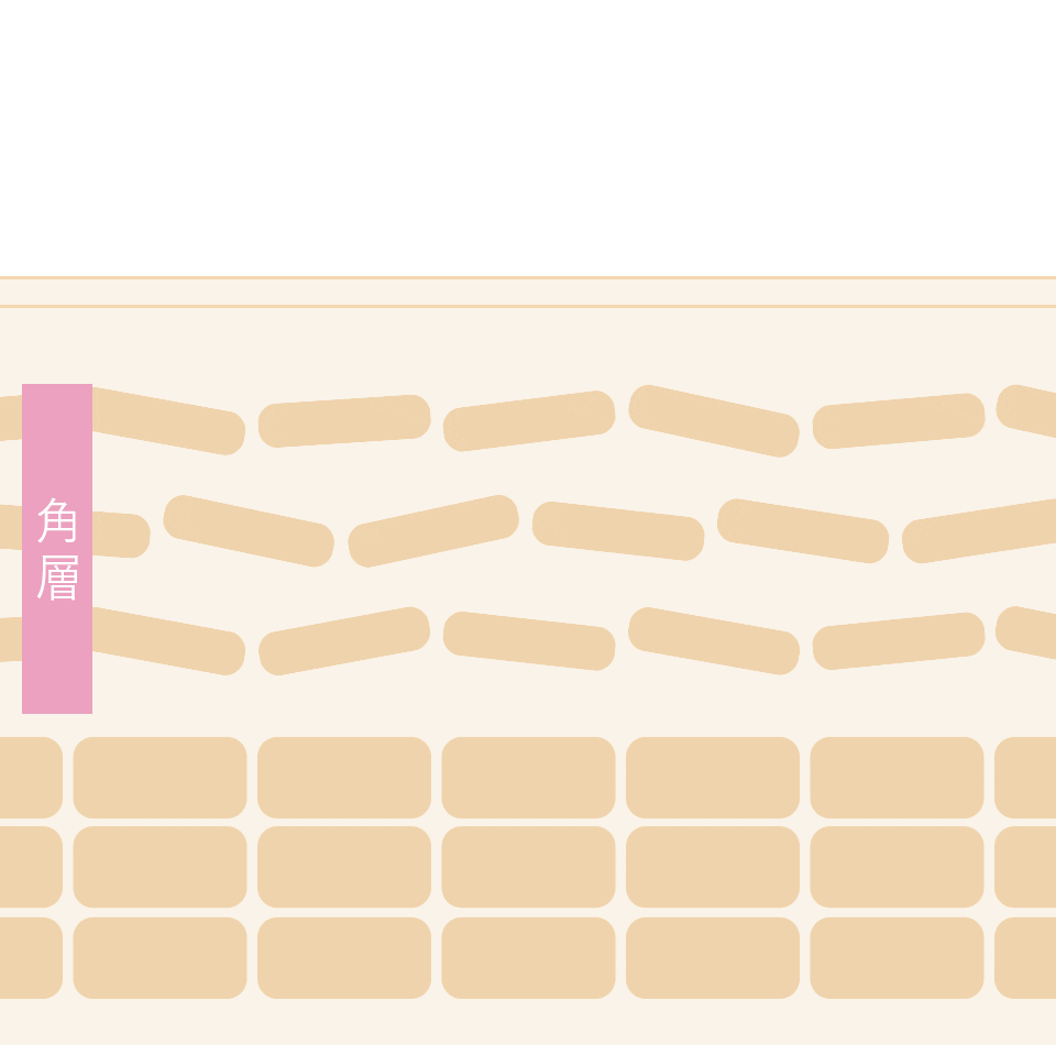 土台のケア*1で、ゆらぎにくい肌へ。