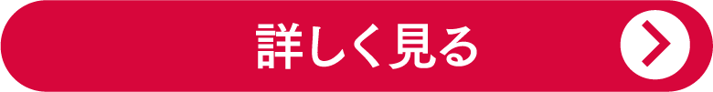 詳しく見る