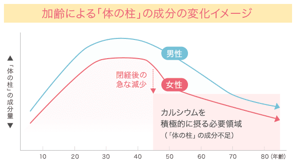 加齢による「体の柱」の成分の変化イメージ