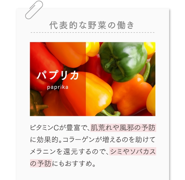 代表的な野菜の働き