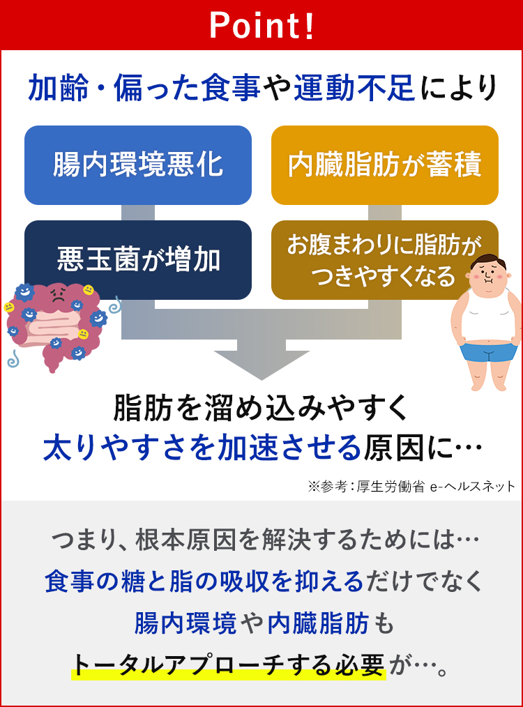 加齢・偏った食事や運動不足により腸内環境悪化・内臓脂肪が蓄積・悪玉菌が増加・お腹まわりにつきやすくなる。脂肪を溜め込みやすく太りやすく加速させる原因に…つまり根本原因を解決するためには食事の糖と脂の吸収を抑えるだけでなく腸内環境や内臓脂肪もトータルアプローチする必要が…