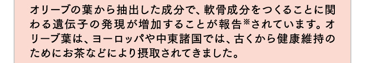 オリーブの葉から抽出した成分で、軟骨成分をつくることに関わる遺伝子の発現が増加することが報告※されています。オリーブ葉は、ヨーロッパや中東諸国では、古くから健康維持のためにお茶などにより摂取されてきました。