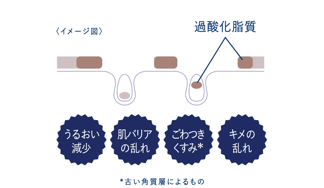 過酸化脂質について