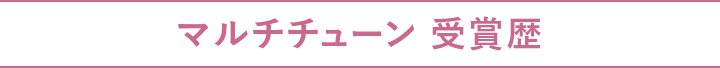 マルチチューン 受賞歴