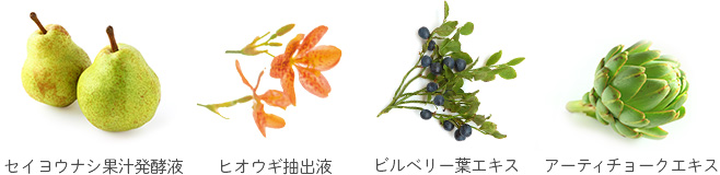 セイヨウナシ果汁発酵液　ヒオウギ抽出液　ビルベリー葉エキス　アーティチョークエキス