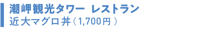 潮岬観光タワー レストラン 近大マグロ丼（1,700円）