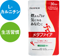 メタファイア