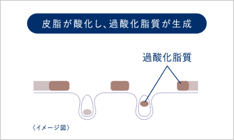 イメージ図