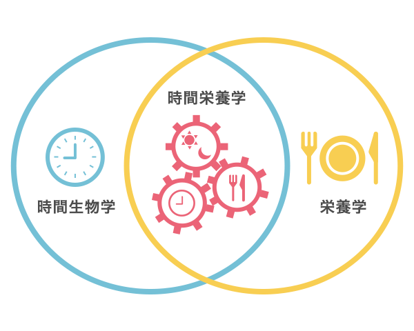 時間栄養学