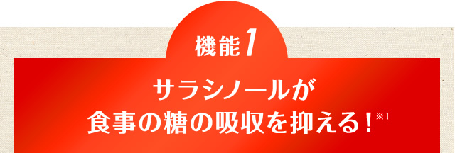 【機能1】サラシノールが食事の糖の吸収を抑える！