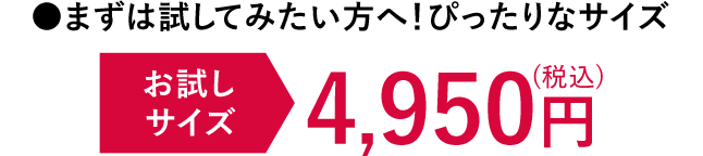 ●まずは試してみたい方へ！ぴったりなサイズ お試しサイズ 4,950円（税込）