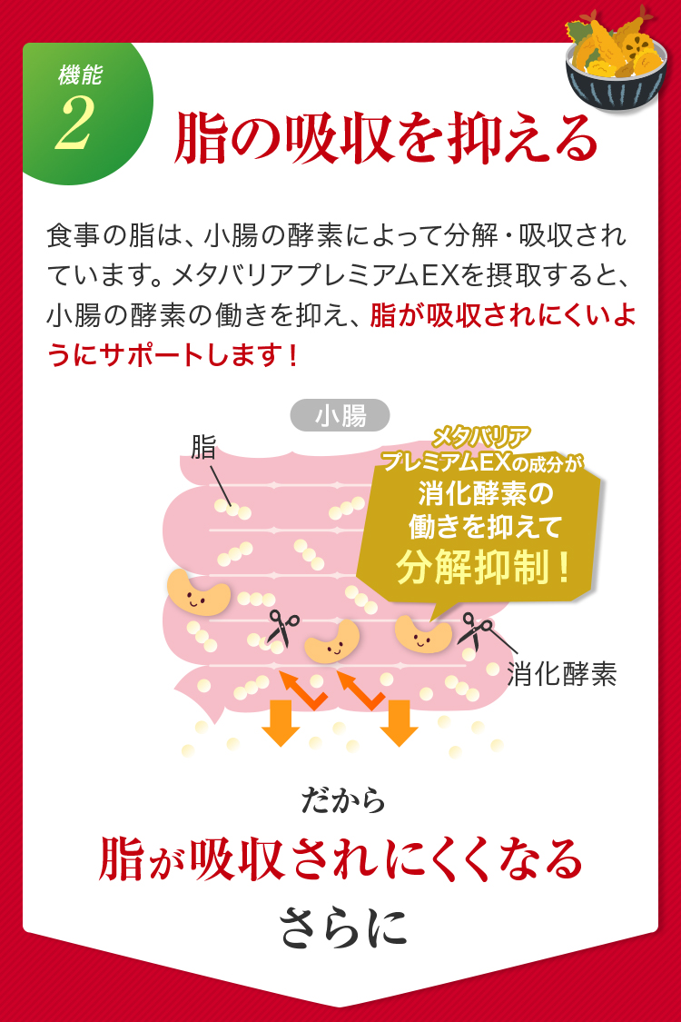 【機能2】脂の吸収を抑える。だから脂が吸収されにくくなる。さらに