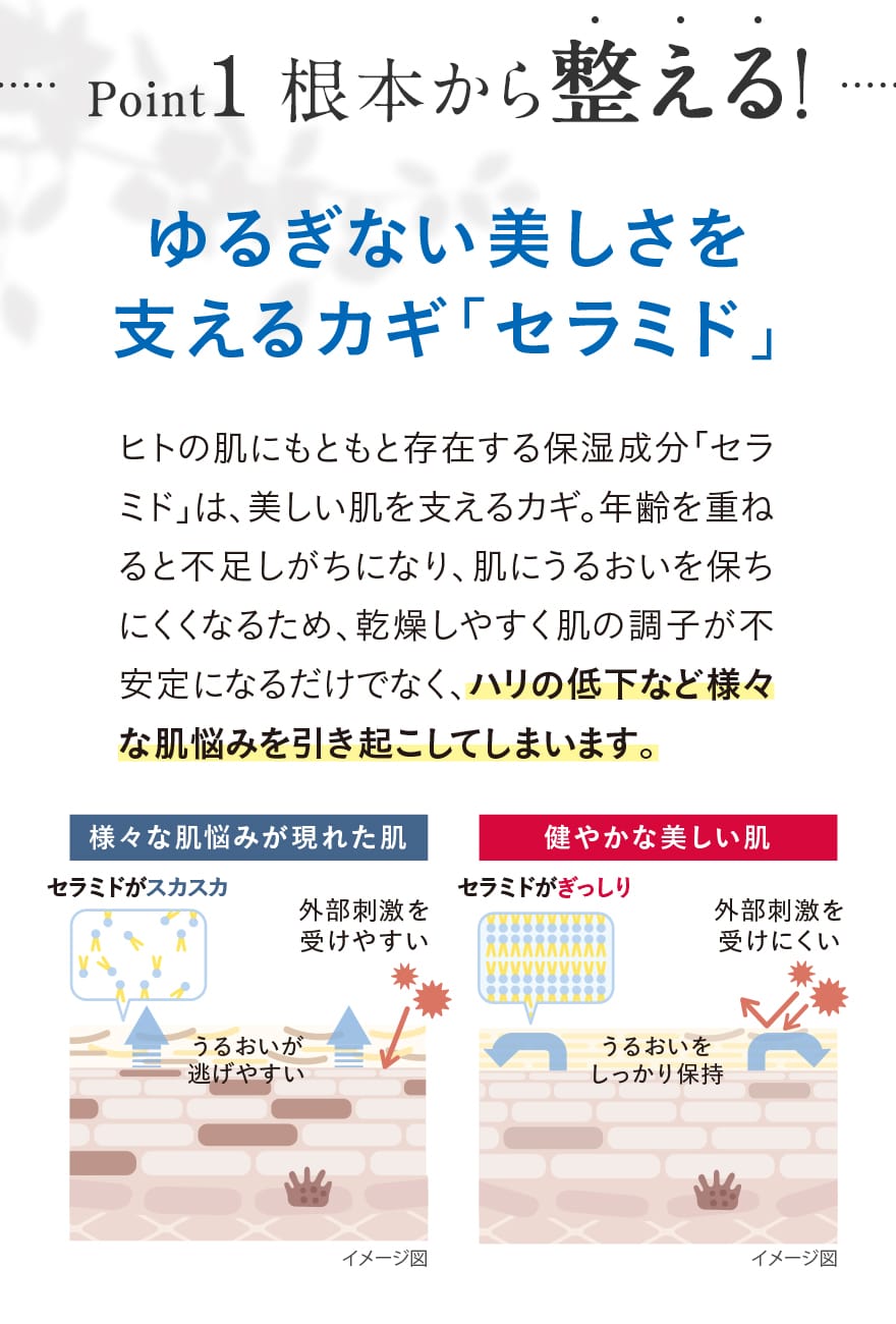 Point1 根本から整える！