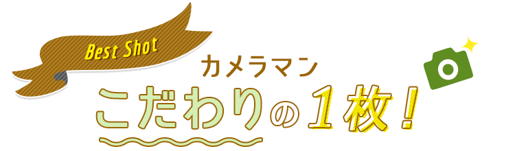 カメラマン こだわりの1枚