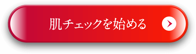 肌チェックをはじめる