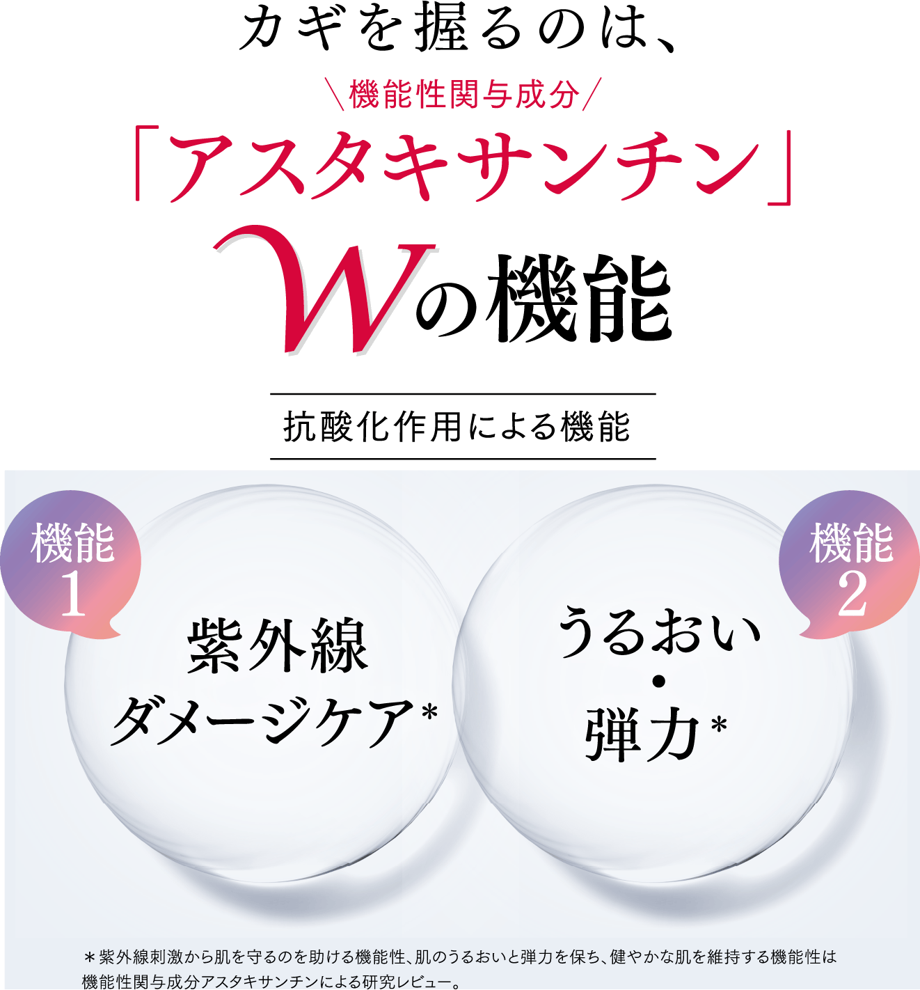 カギを握るのは、機能性関与成分 アスタキサンチン Wの機能