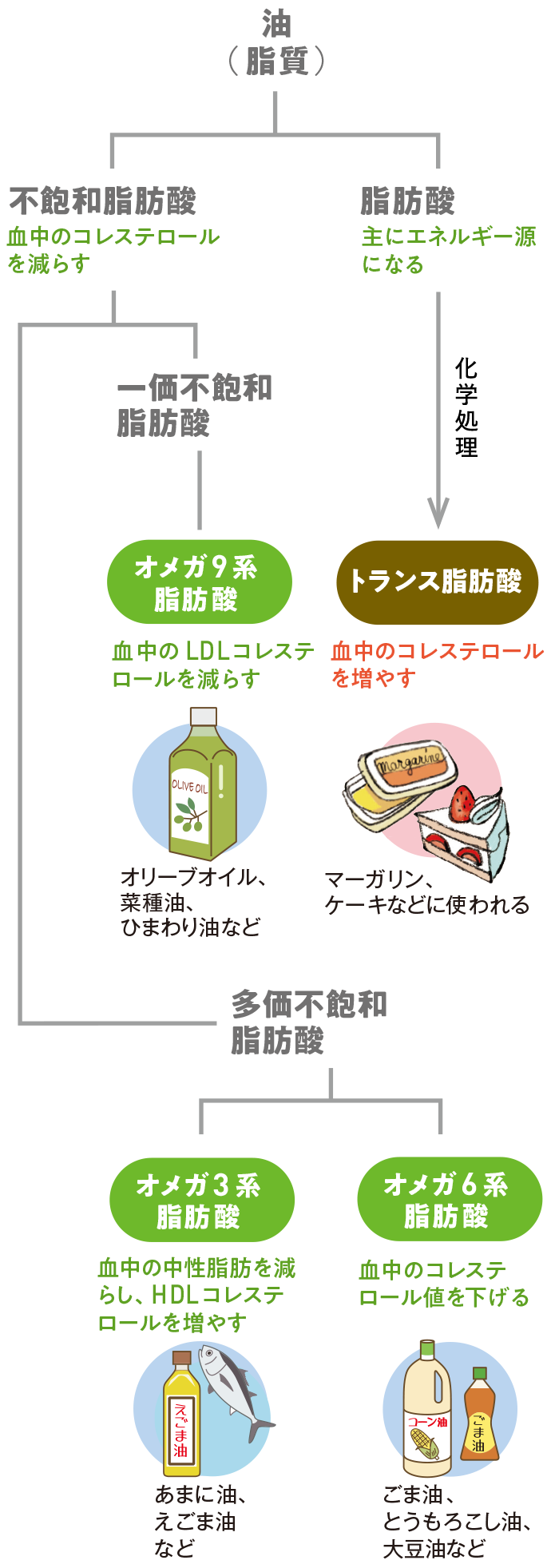 体に必要な油（脂質）の種類