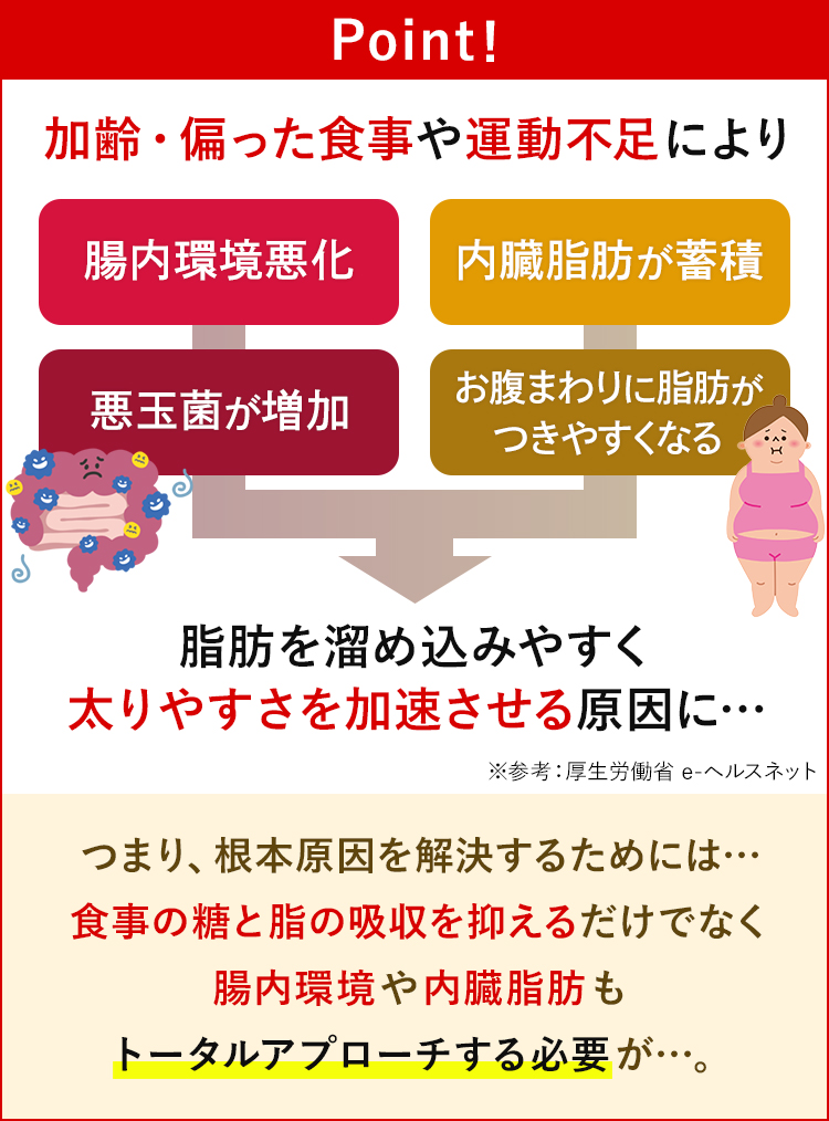 加齢・偏った食事や運動不足により腸内環境悪化・内臓脂肪が蓄積・悪玉菌が増加・お腹まわりにつきやすくなる。脂肪を溜め込みやすく太りやすく加速させる原因に…つまり根本原因を解決するためには食事の糖と脂の吸収を抑えるだけでなく腸内環境や内臓脂肪もトータルアプローチする必要が…