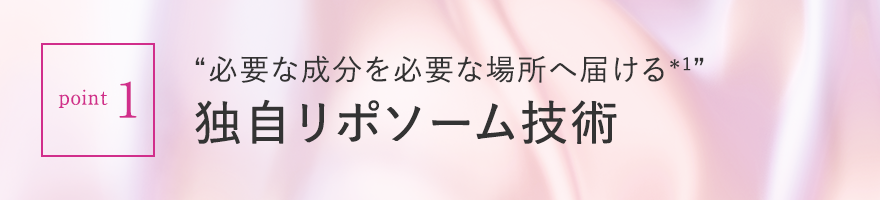 point1 “必要な成分を必要な場所へ届ける*1”独自リポソーム技術