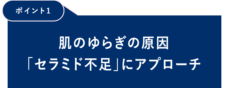 【ポイント1】肌のゆらぎの原因「セラミド不足」にアプローチ