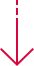 ↓