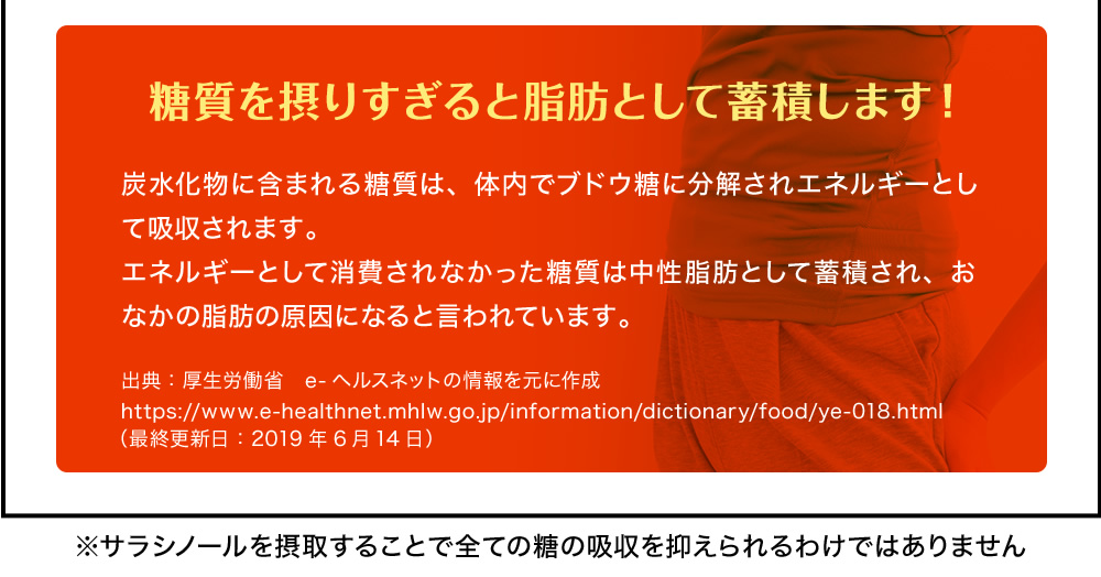 糖質を摂りすぎると脂肪として蓄積します！