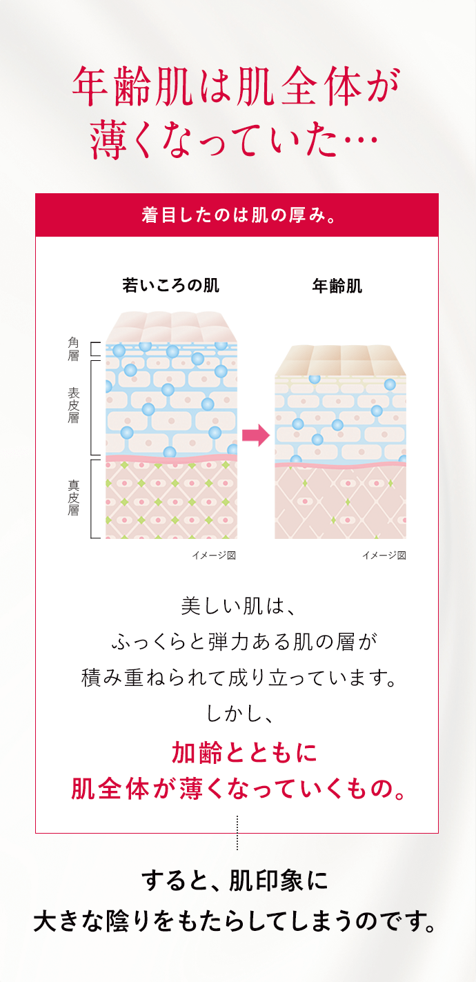 年齢肌は肌全体が薄くなっていた…