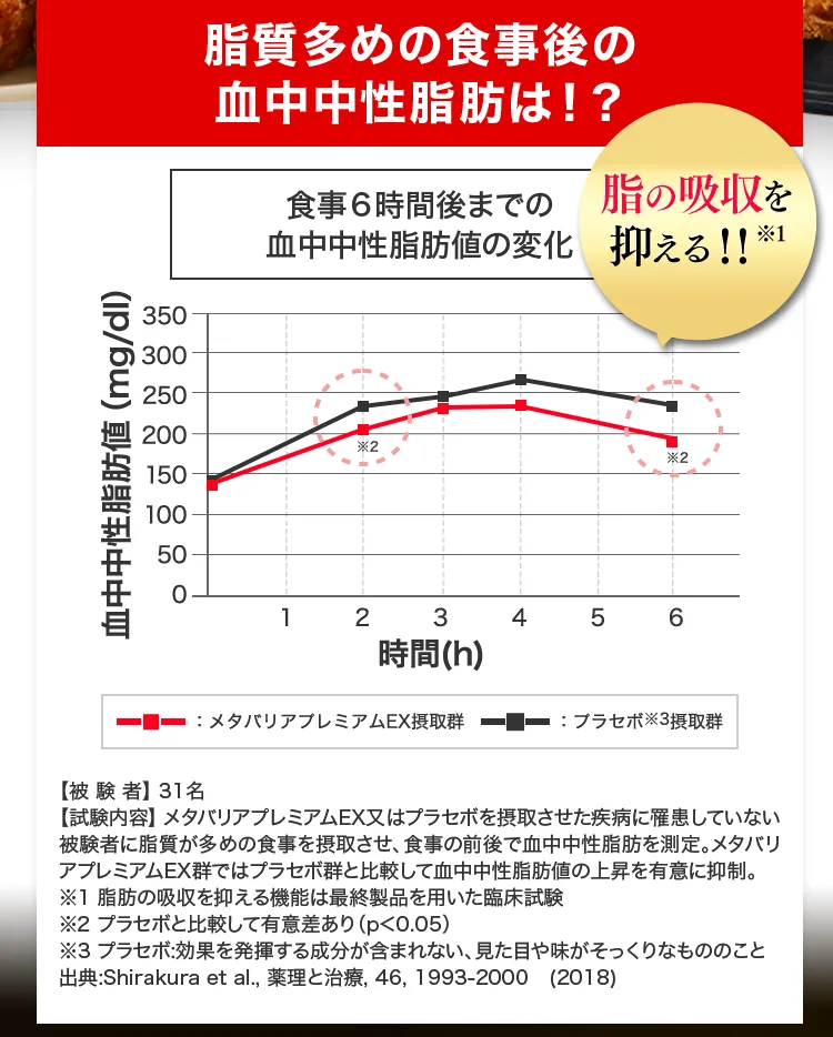 脂質多めの食事後の血中中性脂肪は！？