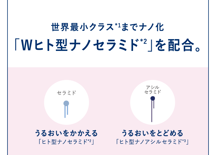 世界最小クラスまでナノ化「Wヒト型ナノセラミド」を配合。