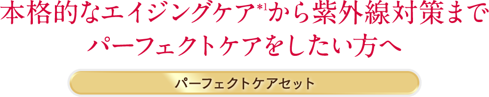 本格的なエイジングケア*1から紫外線対策まで、パーフェクトケアをしたい方へ|パーフェクトケアセット