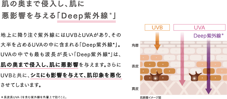 イメージ図