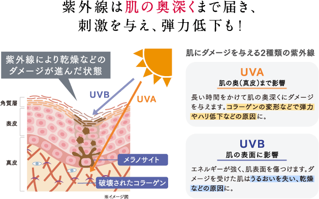 紫外線は肌の奥深くまで届き、刺激を与え、弾力低下も！