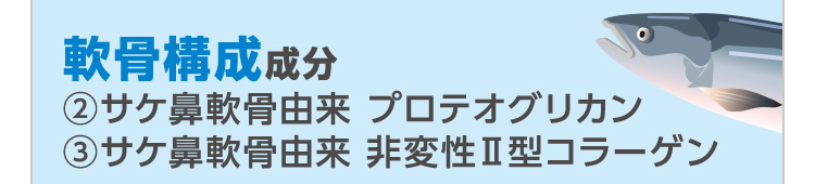 軟骨構成成分 ②サケ鼻軟骨由来 プロテオグリカン ③サケ鼻軟骨由来 非変性Ⅱ型コラーゲン
