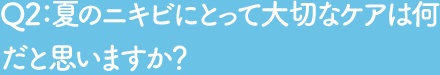 Q2 夏のニキビにとって大切なケアは何だと思いますか？