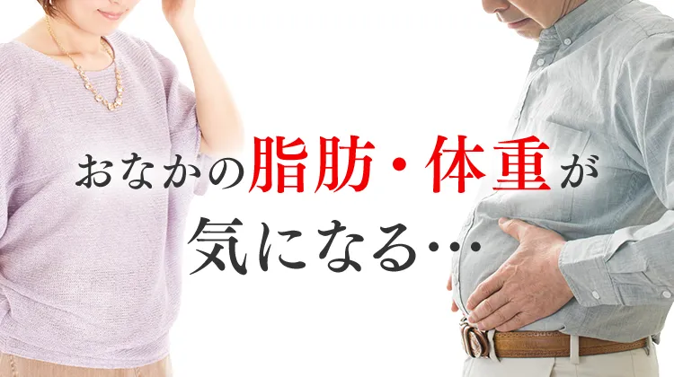 おなかの脂肪・体重・ウエスト周囲径を減らしたい…