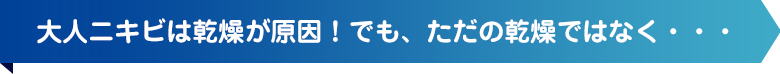 大人のニキビの原因は、ただの乾燥ではなく…