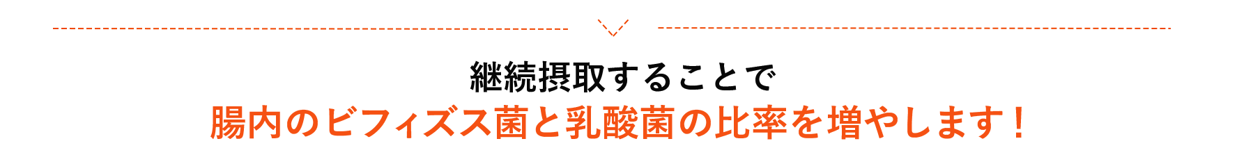 腸内のビフィズス菌と乳酸菌の比率を増やします