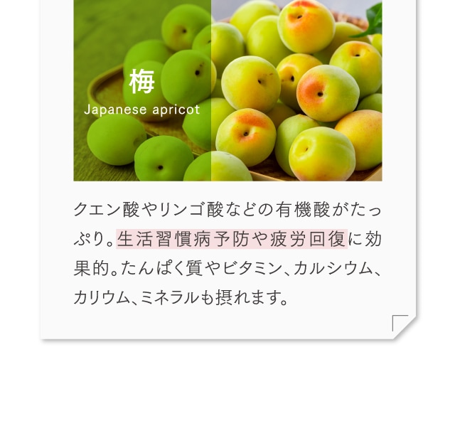 代表的な果物の働き